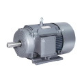 BEIDE 1TL0001 Gusseisen dreiphasiger asynchroner Motor